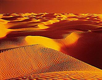 《艾尔登法环》与《恶魔之魂重制版》胡须对比 更爷们了